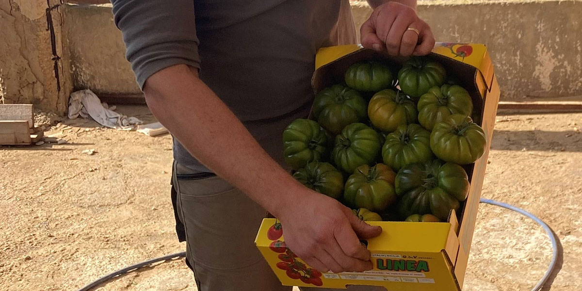 Marmande, i precoci si chiamano Marego e Maremosso